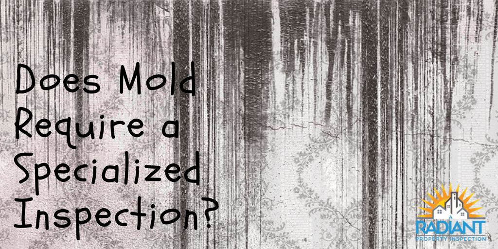Does Mold Require a Specialized Inspection?